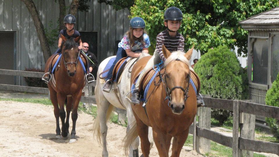 Horse riding kettering